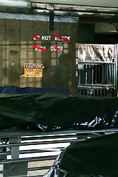 Blake Rose Blonde Pornstar Grabs Sex in a Bag